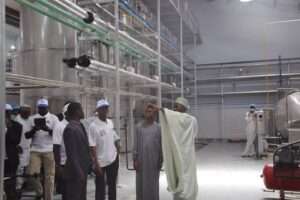 Habib Fura and yoghurt factory