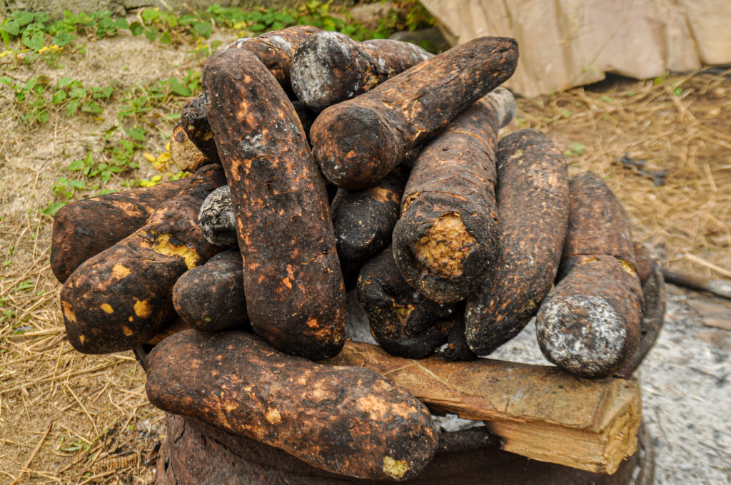 The freshly roasted tubers of yam