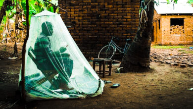 Malaria is present in 85 countries, with 95 percent of cases in the African region. [Peter Mgongo/Health Policy Watch]